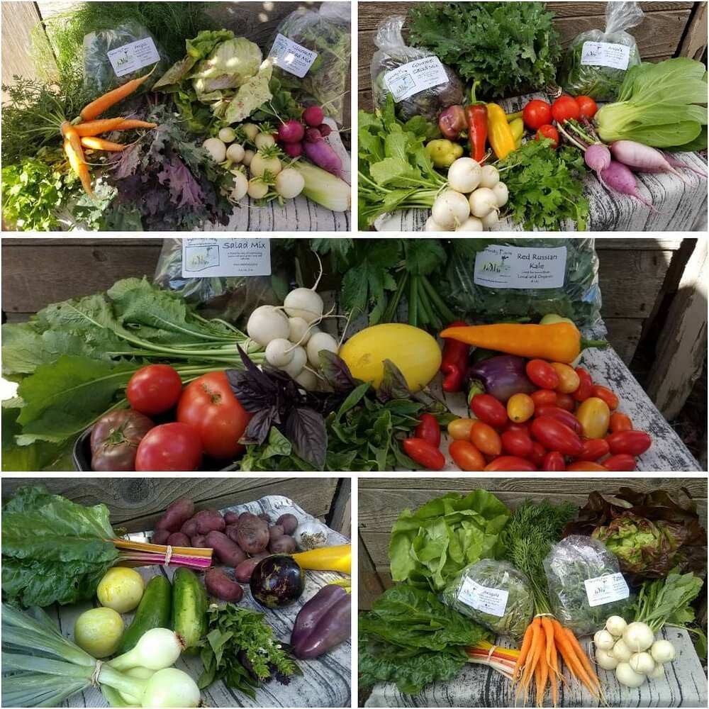 Assorted Produce Bag Large