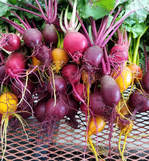 Beets