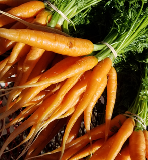 Carrots Carrots
