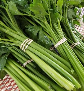 Celery