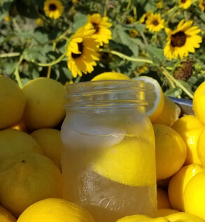 Fresh Squeezed Lemonade