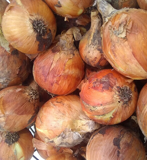 Yellow Onions