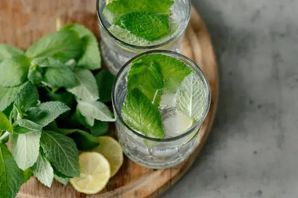 Mojito Mint Mojito Mint