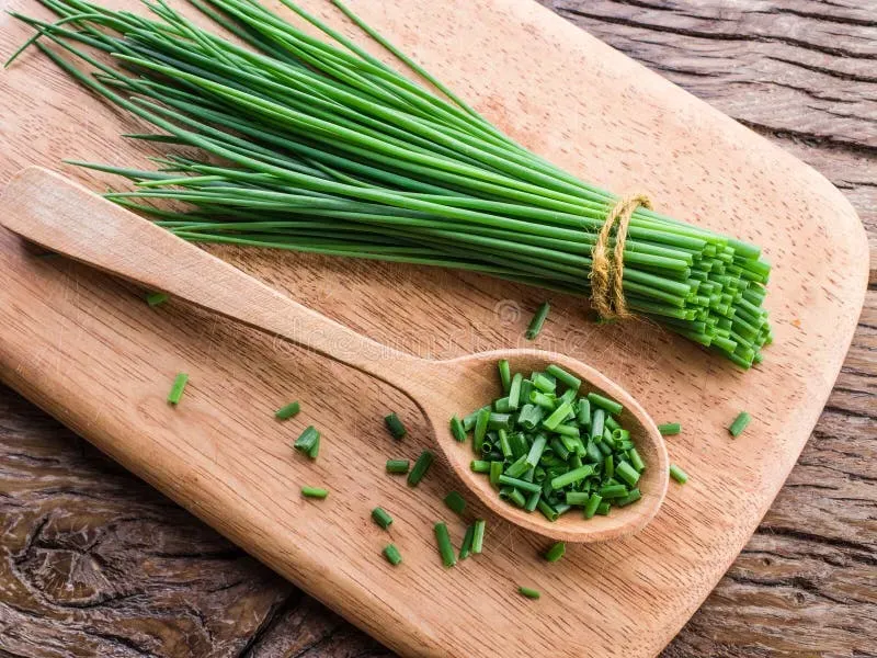 Chives