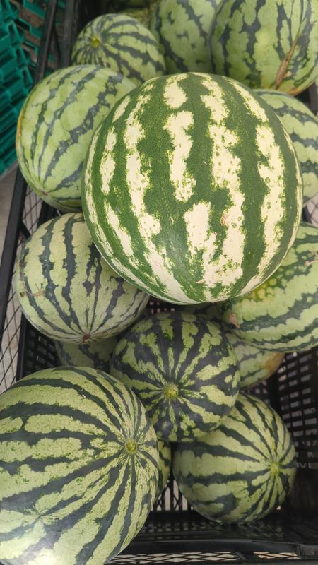 Watermelon (seeded)