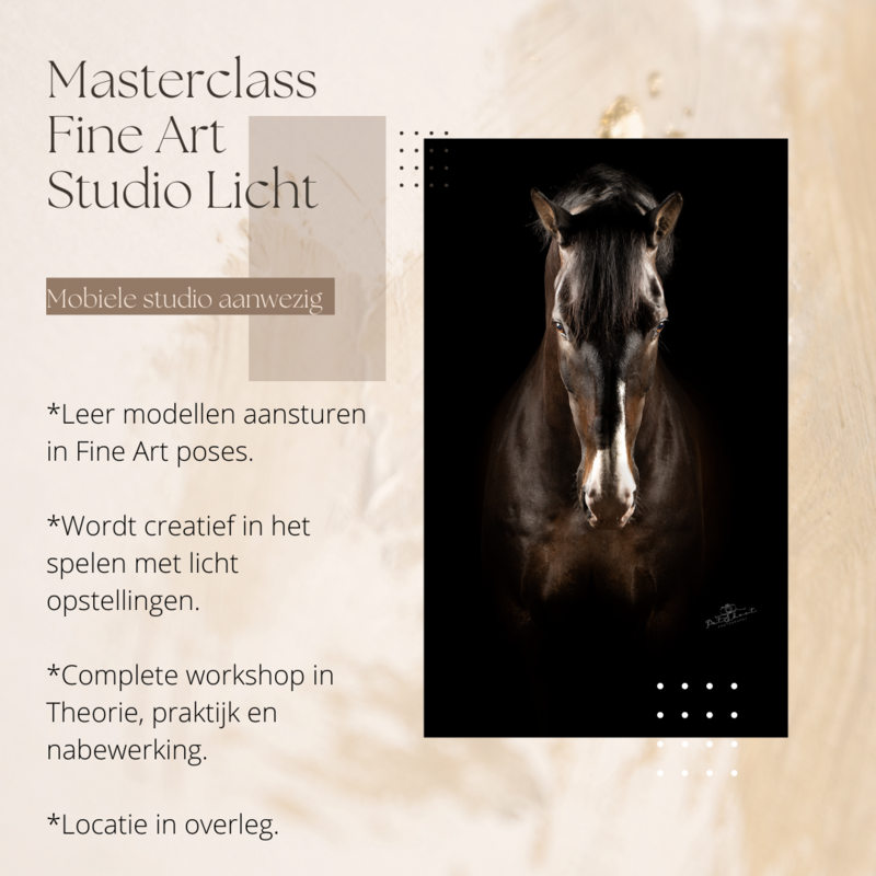 Masterclass fine art studio fotografie