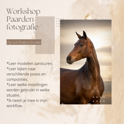 Workshop paarden fotografie (2,5 uur)
Workshop paarden fotografie voor fine art natuurlijk licht, of een fotoshoot op locatie.