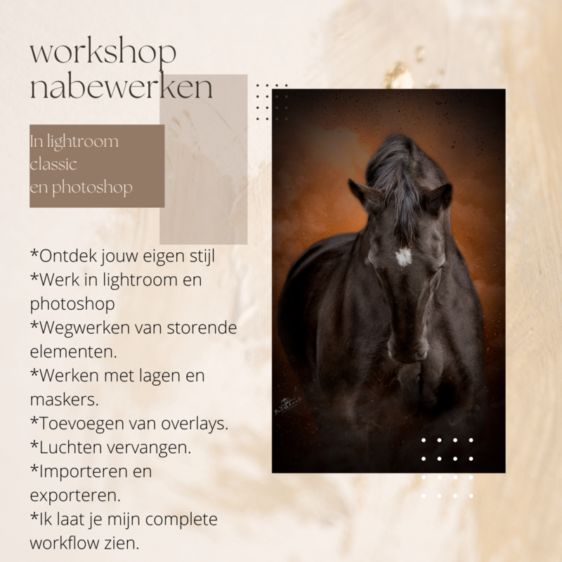 Workshop nabewerken (2 uur)

Workshop in het na bewerken van jou eigen foto in lightroom en photoshop.