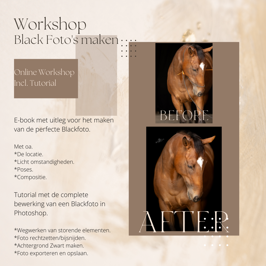 Workshop Blackfoto's maken