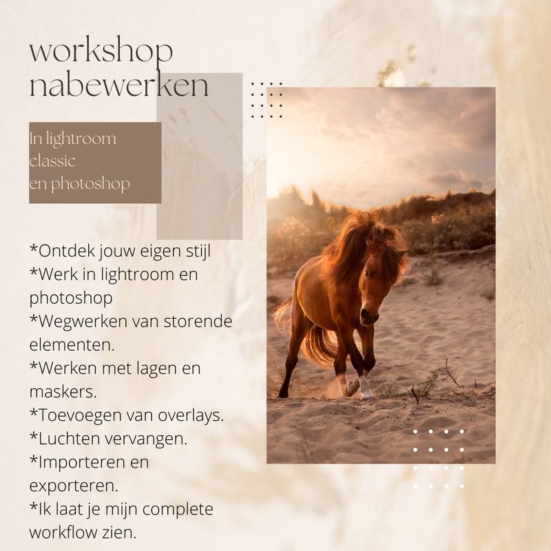 Workshop nabewerken (2 uur)  Workshop in het na bewerken van jou eigen foto in lightroom en photoshop.