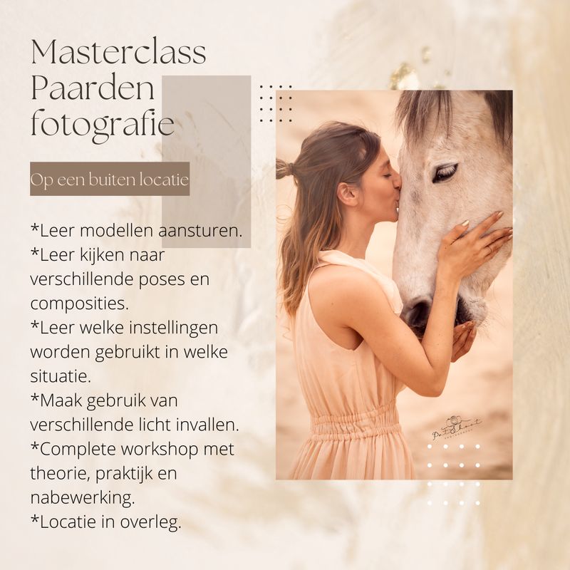 Masterclass paarden fotografie Op een buiten locatie