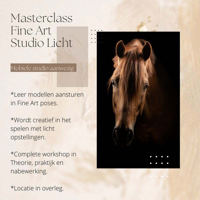 Masterclass fine art studio fotografie