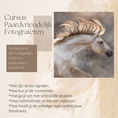 Cursus Paard Vriendelijk Fotograferen