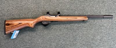 Ruger 10/22 Custom Build 22LR