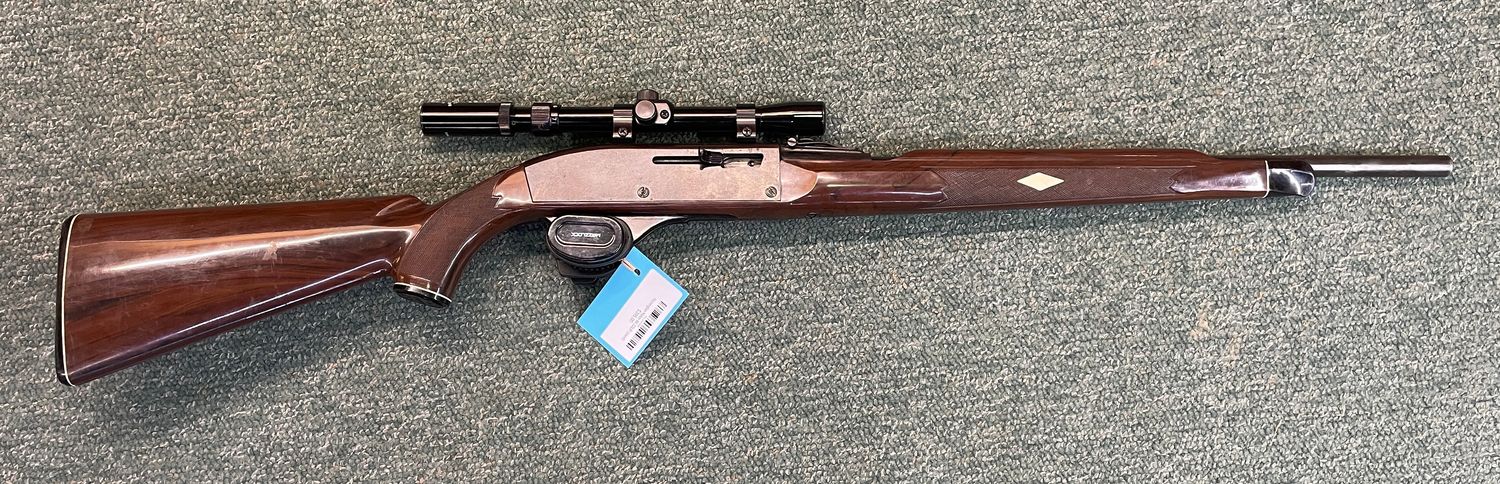 Remington Nylon 66 22LR (used)
