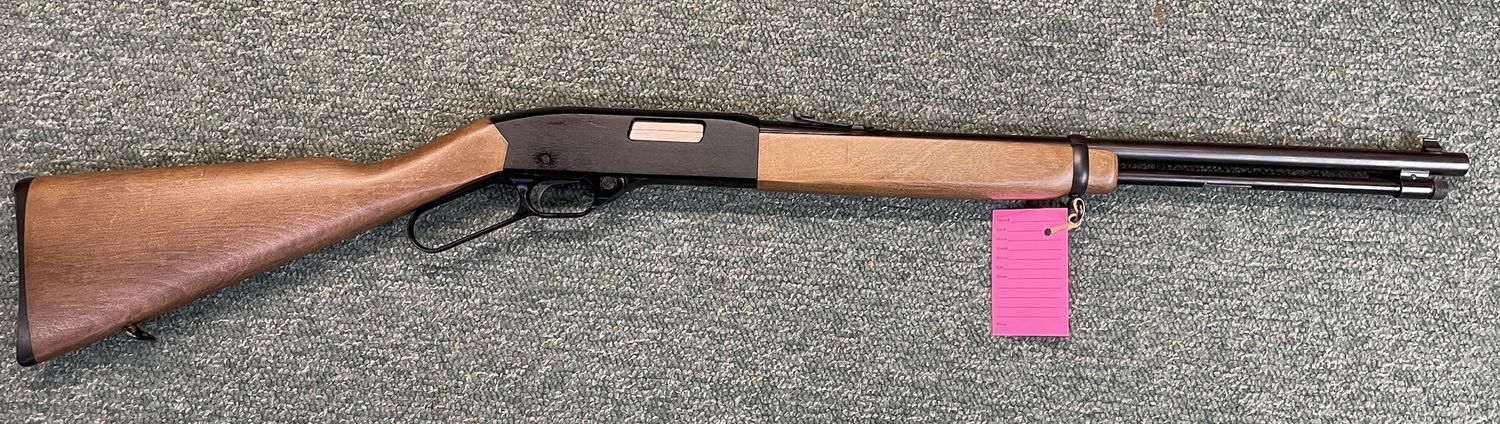 Winchester Model 150 .22 LR (used, excellent)