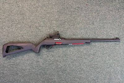 Winchester Wildcat Combo .22 LR W/Red dot sight