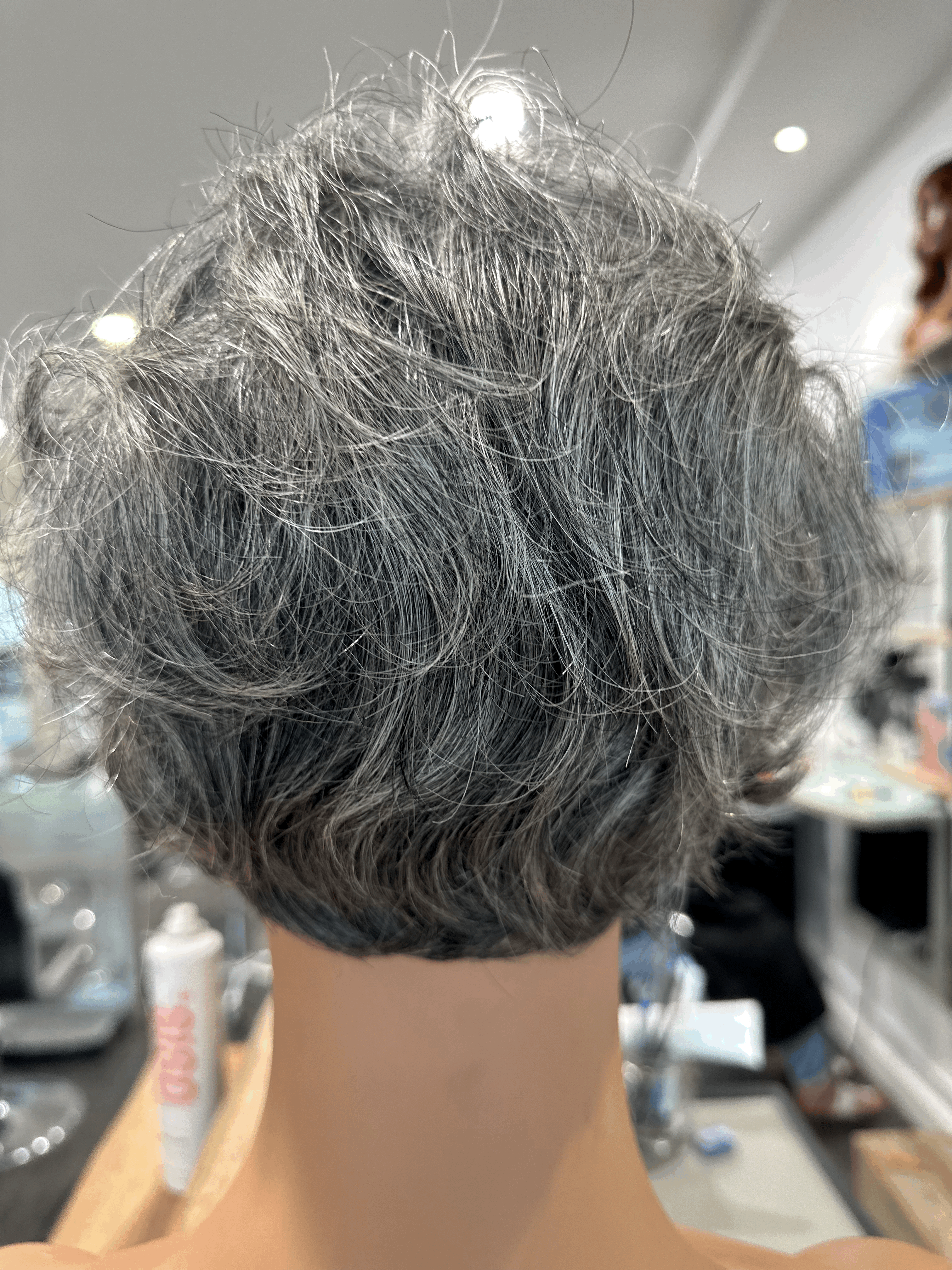 Grey Human Hair Wig - Ann