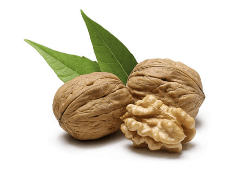 Noix de Grenoble Chartreuse Variété "Franquette" 500g