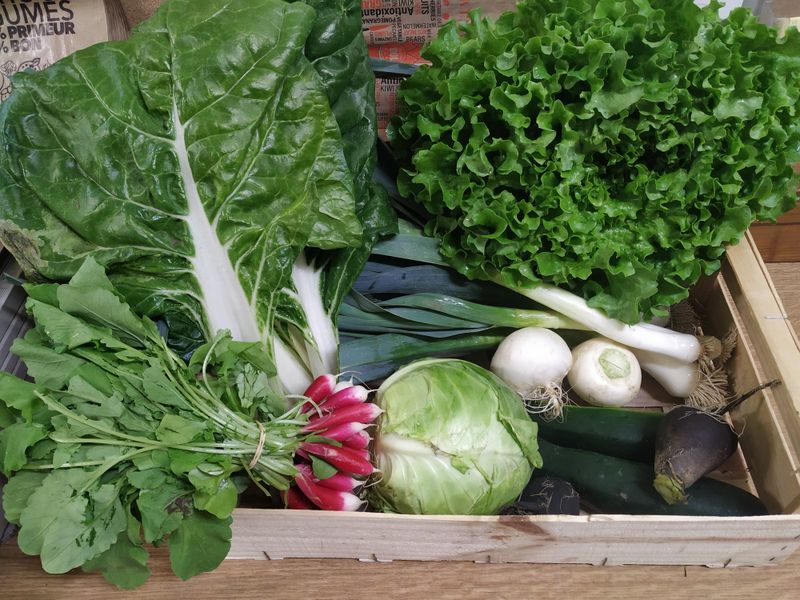 Plateau de saison 4kg (pommes de terre nouvelles, carottes fanes,  courgettes, chou rave, radis, navet blanc ou jaune)