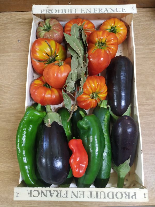 Plateau de saison 4kg (pommes de terre, courgettes, aubergines, tomates anciennes, poivron vert, concombre, chou rave)