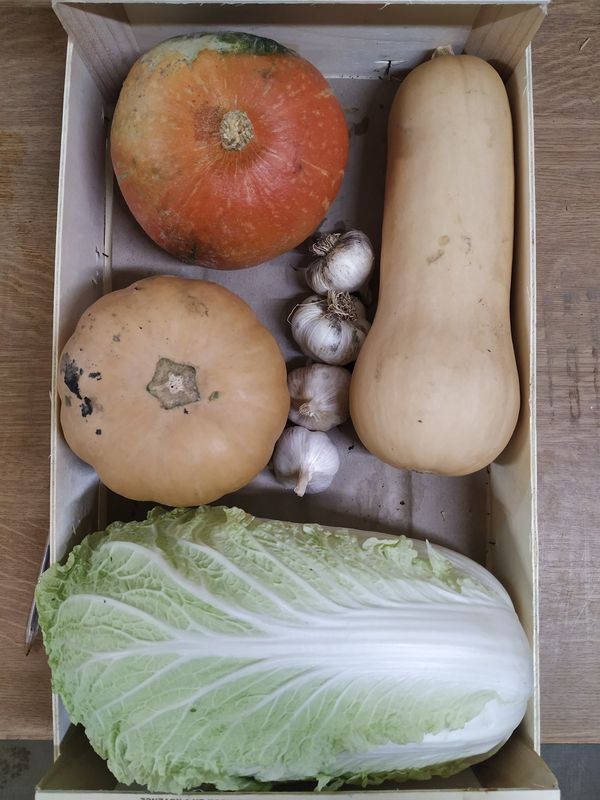 Plateau d'automne 4kg environ (mini muscade, butternut, potimarron, poireau, ail)