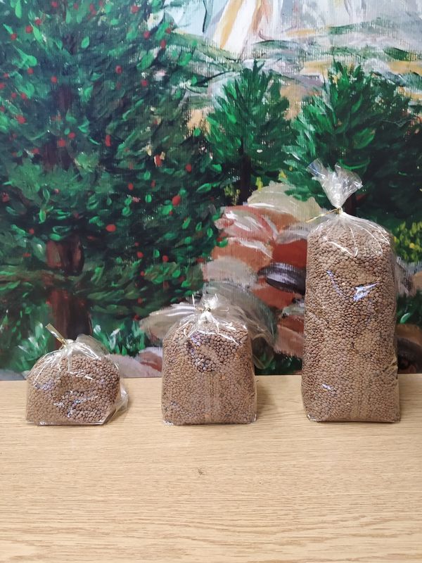 Lentilles corail vrac La petite Séouve