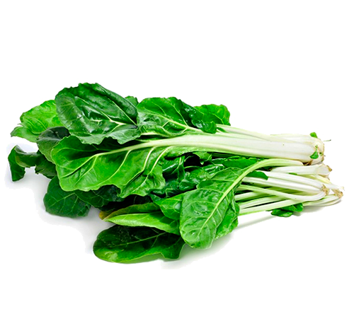 Blettes à carde 500g. PROMO fin de saison !