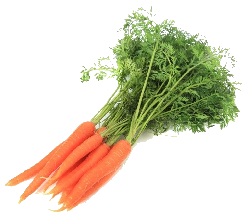 Carotte fanes botte