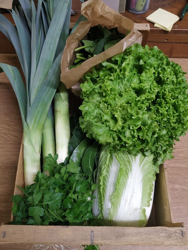 Plateau de saison 3kg environ (carottes fanes, blettes, poireau, courgettes, salade)