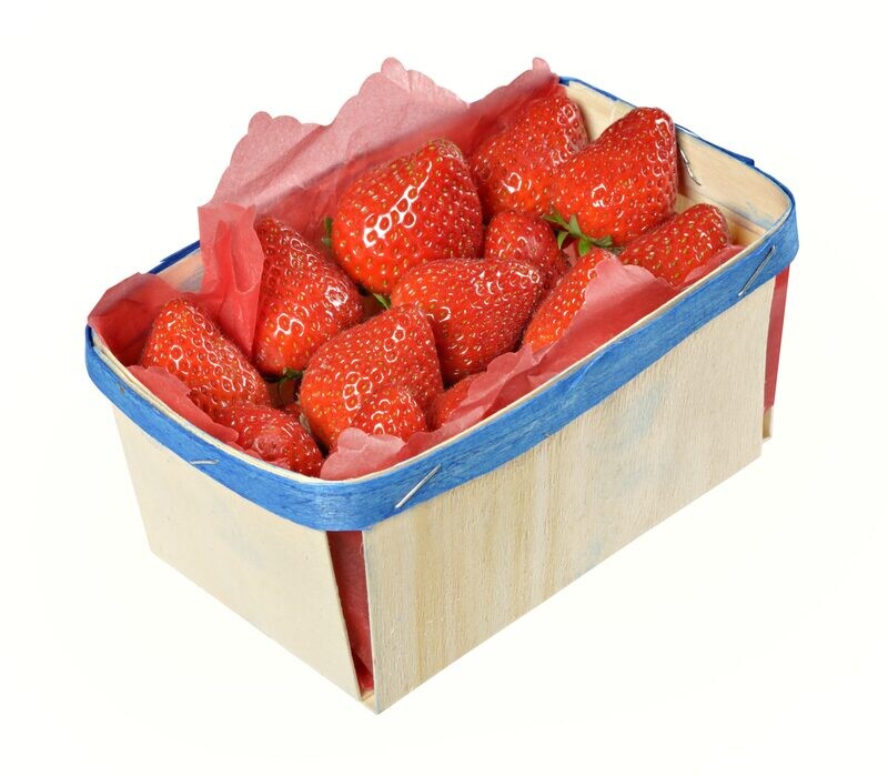 Fraises ciflorette 500g