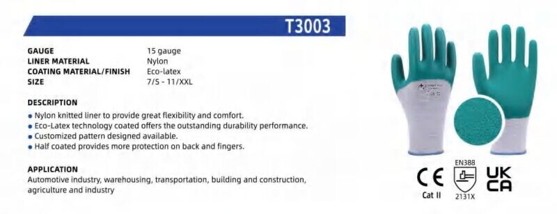 T3003