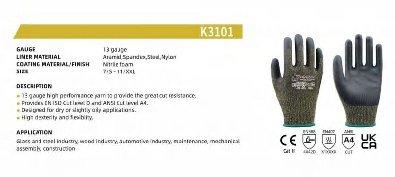 K3101