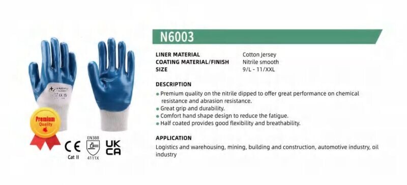 N6003