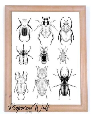 Cottagecore Wall Decor Beetle Wall Art Print Bugs Insects Garden Nature Inspired Science Illustration Home Decor
