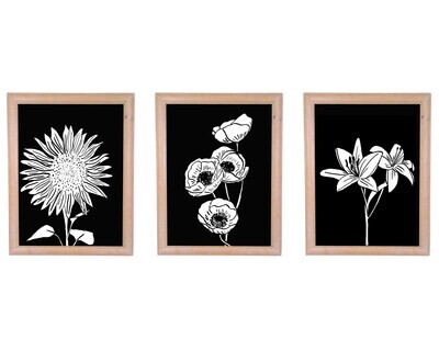 Black and White Wild Flower Triptych Art Print Set Illustration Wall Decor