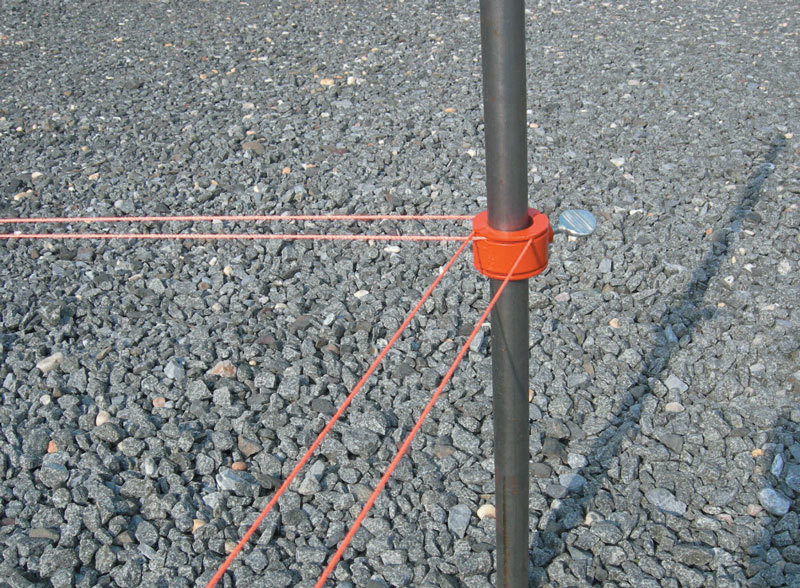 String Along Collars