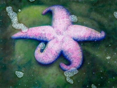 Pink Starfish and Her Bubble