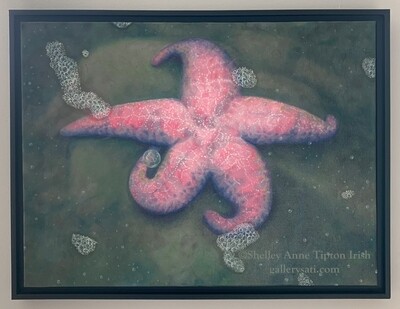 Pink Starfish and Her Bubble