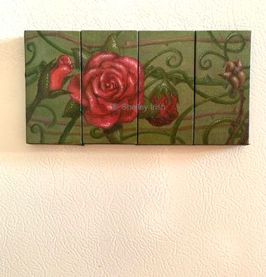 Bloom Cycle of a Red Rose