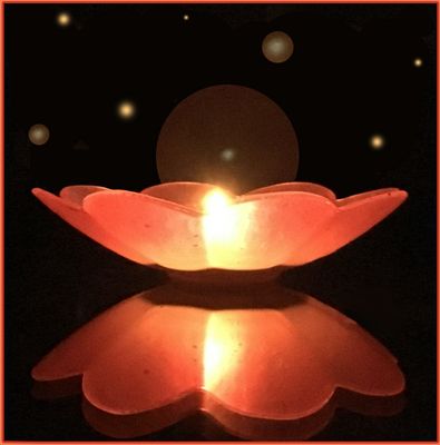 Holistic Artistic Add-On to Single Session Workshop