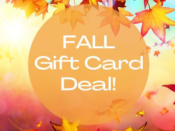 Gift Card- $300  PLUS a FREE $45 Sampler Facial!5