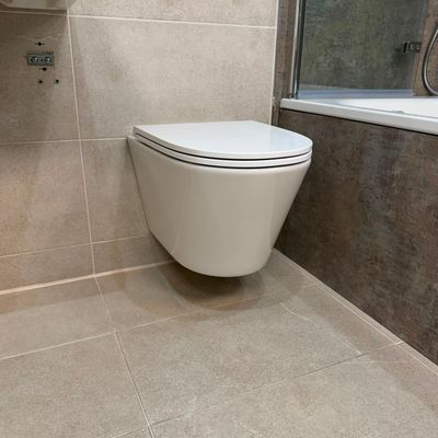 Ex-Display Crosswater Mada Round Wall Hung Pan Rimless Inc Seat And Fixings