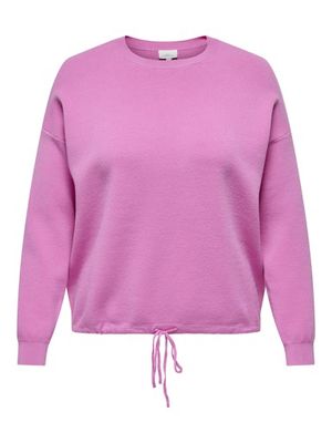 CARSUMMER LIFE LS SWEATER
