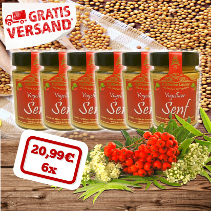 6 x Vogelbeersenf
