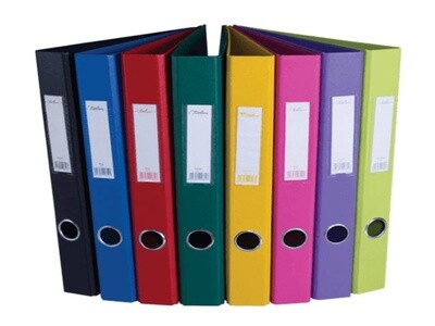 Ring Binder File - Assorted Colors