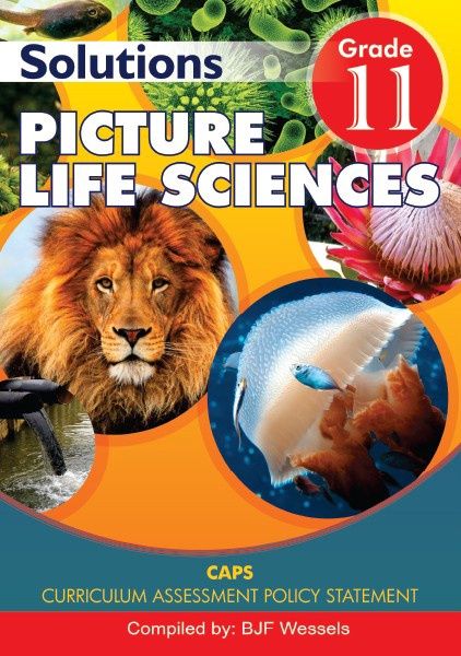 Picture Life Science Gr 11 Solutions