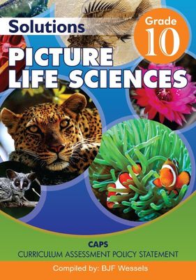 Picture Life Science Gr 10 Answer Book