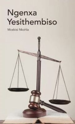 Ngenxa Yesithembiso Gr 11 HL (CAPS Approved)