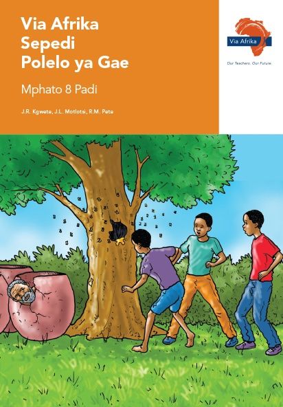 Via Afrika Sepedi Home Language Grade 8 Reader Dinonwane, Dikanegelokopana, Theto, Papadi (Printed book.)